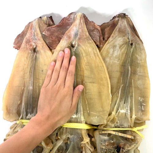 당일바리 마른 오징어(왕특대) 10미 1.25kg내외